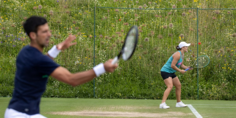 Novak Djokovic and Ashleigh Barty