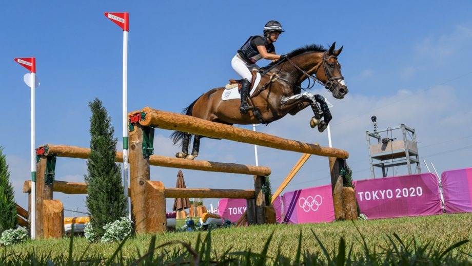 Horse obstacle course equestrian