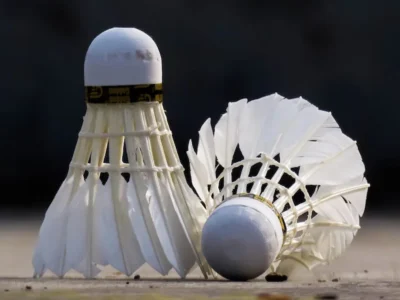 The team manager made the blunder. The officials didn't focus during the meeting, and after the trials they didn't follow the proper process