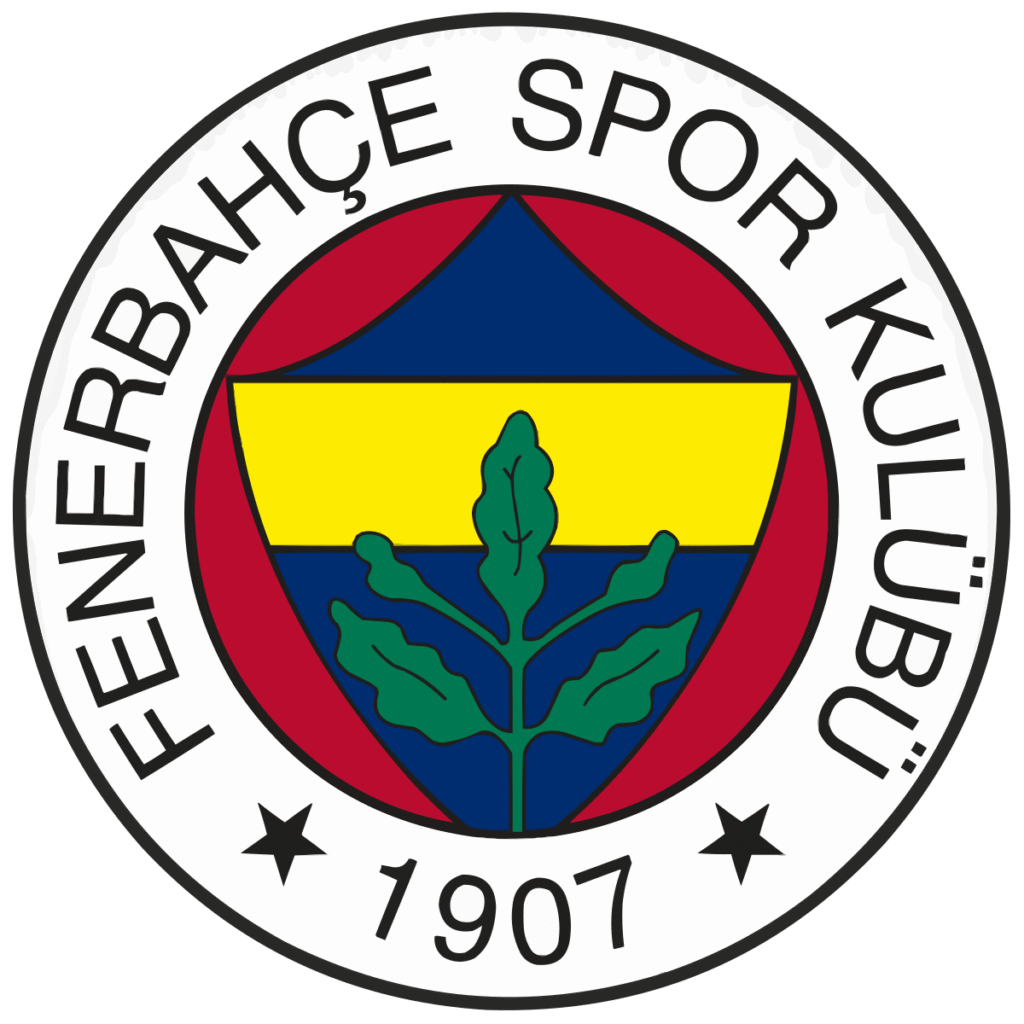 Heading into the second leg in Istanbul, the situation was far from ideal for Fenerbahce